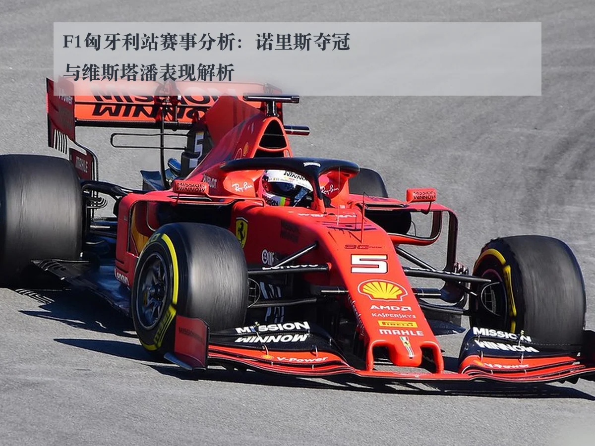 F1匈牙利站赛事分析:诺里斯夺冠与维斯塔潘表现解析