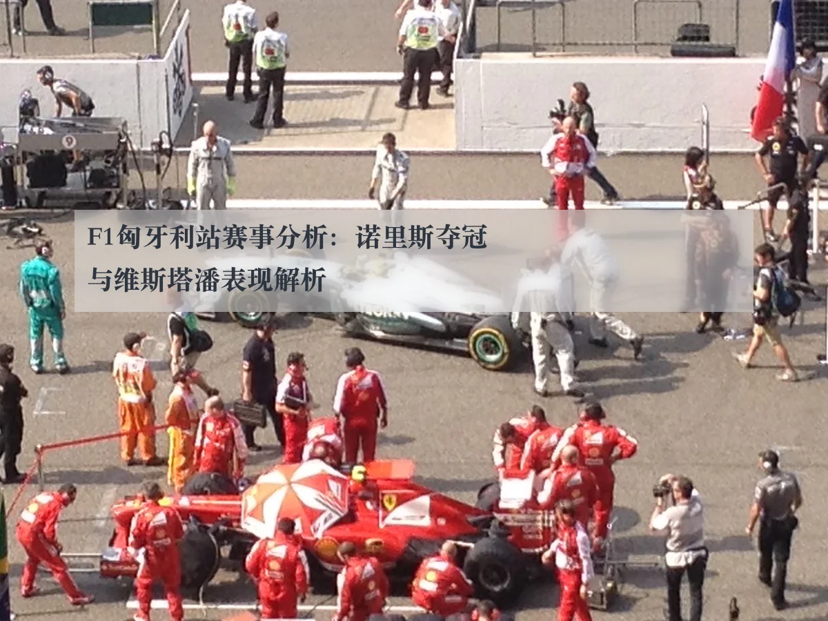 F1匈牙利站赛事分析:诺里斯夺冠与维斯塔潘表现解析