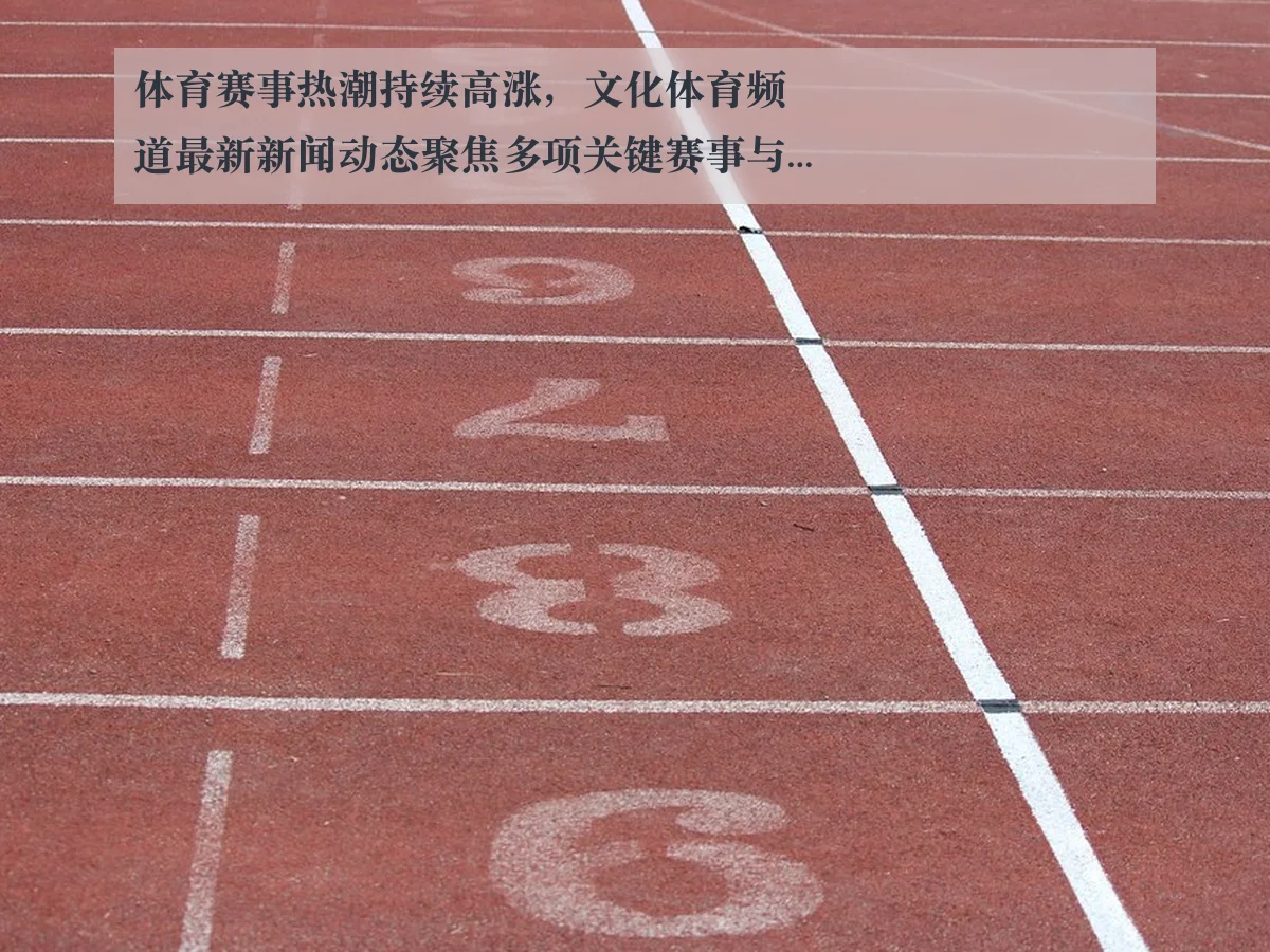 体育赛事热潮持续高涨,文化体育频道最新新闻动态聚焦多项关键赛事与运动员表现