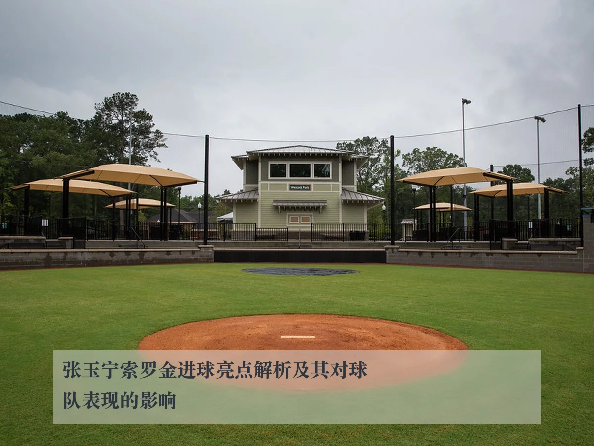 张玉宁索罗金进球亮点解析及其对球队表现的影响